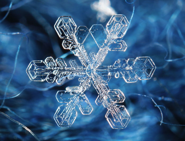 snowflake photography