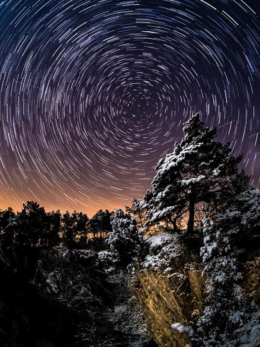 pine tree in the foreground, star trails in the background