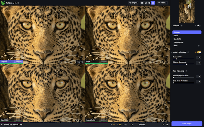 Picture of Comparison View in Topaz DeNoise Ai